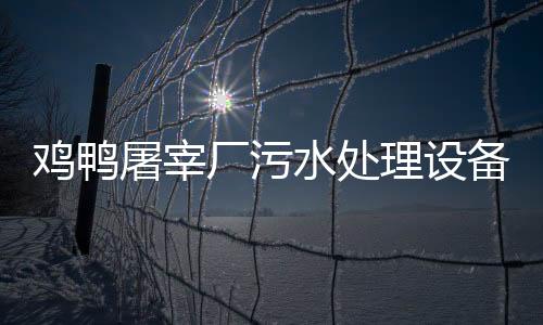 雞鴨屠宰廠污水處理設備