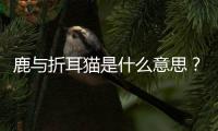 鹿與折耳貓是什么意思？鹿與貓是什么意思