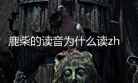 鹿柴的讀音為什么讀zhai（鹿柴的讀音）