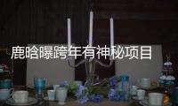 鹿晗曝跨年有神秘項目 加入跑男解放天性【娛樂新聞】風尚中國網