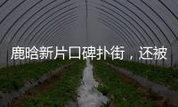 鹿晗新片口碑撲街，還被罵不敬業，扒扒歸國四子誰的銀幕戰績最好