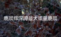 鹿晨輝深蹲最大重量鹿晨輝