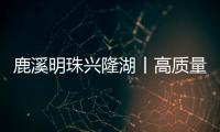 鹿溪明珠興隆湖丨高質量發展調研行