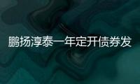 鵬揚(yáng)淳泰一年定開債券發(fā)起式成立 基金規(guī)模10億