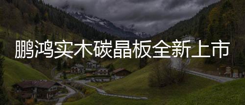 鵬鴻實木碳晶板全新上市