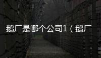 鵝廠是哪個公司1（鵝廠是哪個公司）