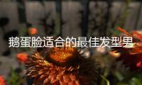 鵝蛋臉適合的最佳發型男生（2018鵝蛋臉最適合的發型）