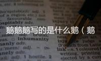 鵝鵝鵝寫的是什么鵝（鵝鵝鵝是誰寫的）