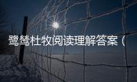 鷺鷥杜牧閱讀理解答案（鷺鷥杜牧）