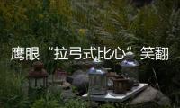 鷹眼“拉弓式比心”笑翻全場，抖森小蜘蛛黑豹看了都要認輸