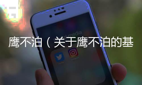 鷹不泊（關于鷹不泊的基本情況說明介紹）