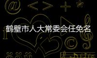 鶴壁市人大常委會任免名單發布