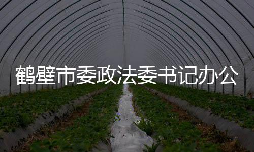 鶴壁市委政法委書記辦公會(huì)聽取全市法學(xué)會(huì)工作情況匯報(bào)