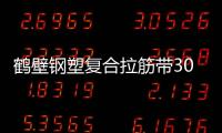鶴壁鋼塑復合拉筋帶30020B批發價格