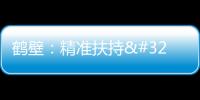鶴壁：精準扶持 做強新興產業