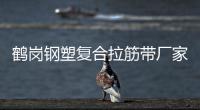 鶴崗鋼塑復(fù)合拉筋帶廠家采購供應(yīng)