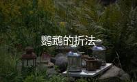 鸚鵡的折法