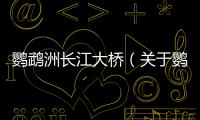 鸚鵡洲長江大橋（關于鸚鵡洲長江大橋的基本情況說明介紹）