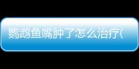 鸚鵡魚嘴腫了怎么治療(鸚鵡魚半邊臉腫怎么治療)