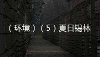 （環(huán)境）（5）夏日錫林郭勒