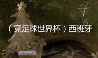 （競足球世界杯）西班牙隊vs突尼斯集錦vs意大利集錦
