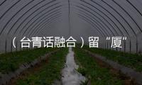 （臺青話融合）留“廈”臺灣女孩的“青青之約”：讓鄉村“被看見”