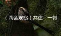 （兩會(huì)觀察）共建“一帶一路”，下一個(gè)十年“工筆畫”如何繪制？