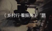 （鄉村行·看振興）“蔬菜之王”成新疆北屯鄉村振興的“香餑餑”