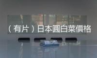 （有片）日本圓白菜價(jià)格暴漲　民眾驚呼「比肉貴」