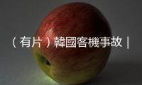 （有片）韓國(guó)客機(jī)事故｜客機(jī)遭鳥(niǎo)撞擊畫(huà)面曝光