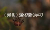 （河北）強化理論學習 提升技能水平