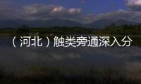 （河北）觸類旁通深入分析，排查服務器存儲芯片缺陷風險