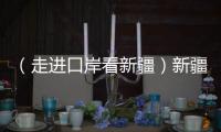 （走進口岸看新疆）新疆巴克圖口岸：邊民互市貿易興