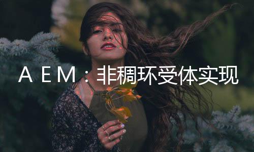 ＡＥＭ：非稠環受體實現超過15.6%效率的有機太陽能電池 – 材料牛