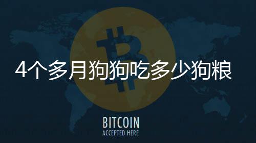 4個多月狗狗吃多少狗糧
