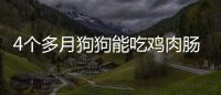 4個多月狗狗能吃雞肉腸嗎