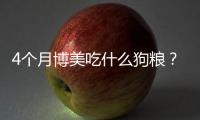 4個月博美吃什么狗糧？四個月博美吃什么補充營養