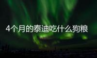 4個月的泰迪吃什么狗糧好(三四個月泰迪能吃什么)