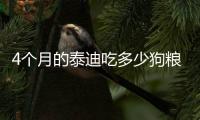 4個月的泰迪吃多少狗糧合適(4個月泰迪吃多少狗糧)