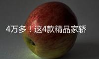 4萬多！這4款精品家轎最適合小鎮青年