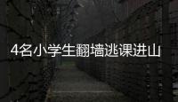 4名小學(xué)生翻墻逃課進(jìn)山體驗(yàn)“野外求生”被警方找回