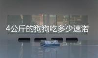 4公斤的狗狗吃多少速諾
