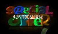 4歲狗狗亂拉尿