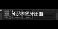 4歲狗狗牙出血