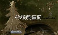 4歲狗狗蛋蛋