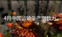 4月中國(guó)運(yùn)輸生產(chǎn)指數(shù)為172.4點(diǎn) 同比增長(zhǎng)31.1%
