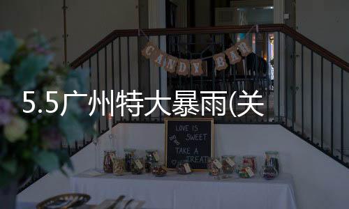 5.5廣州特大暴雨(關于5.5廣州特大暴雨簡述)