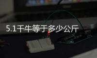5.1千牛等于多少公斤（1千牛等于多少公斤）