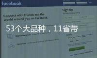 53個大品種，11省帶量采購開始（附名單）