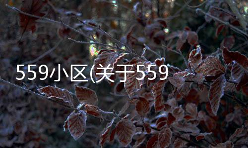559小區(qū)(關(guān)于559小區(qū)簡述)